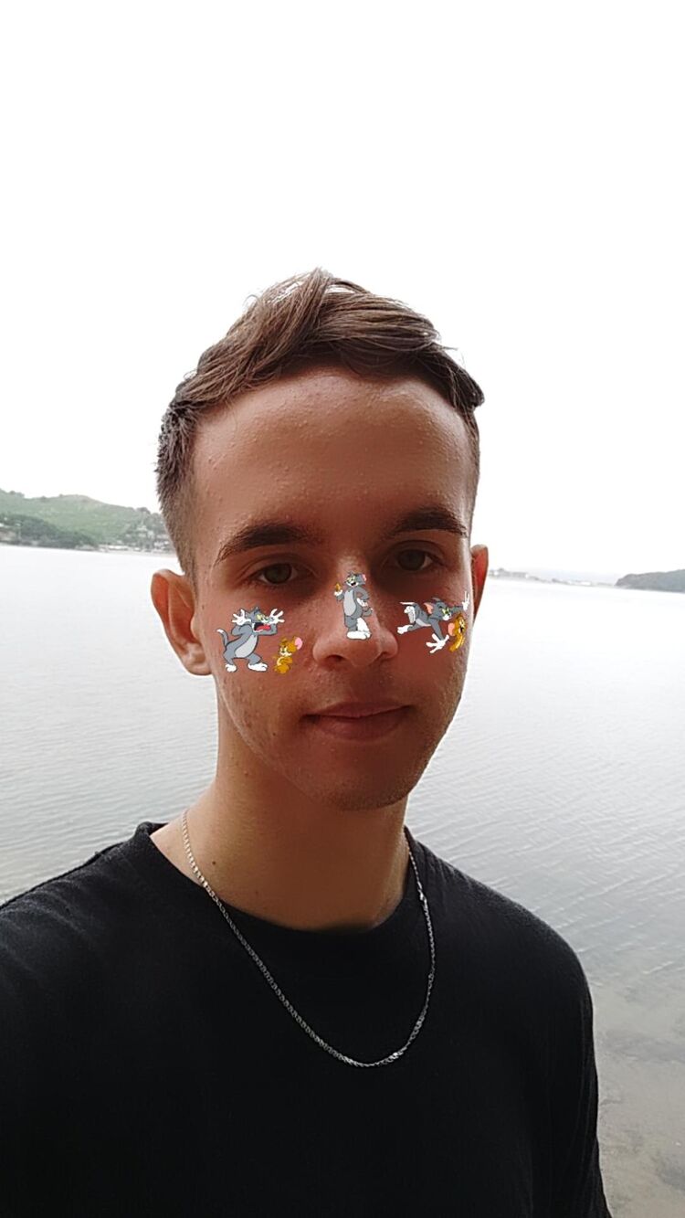  29113963  , 21 ,    