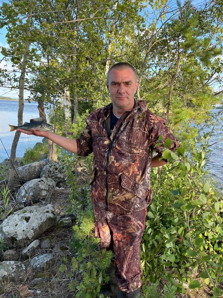  39801473  , 50 ,    -