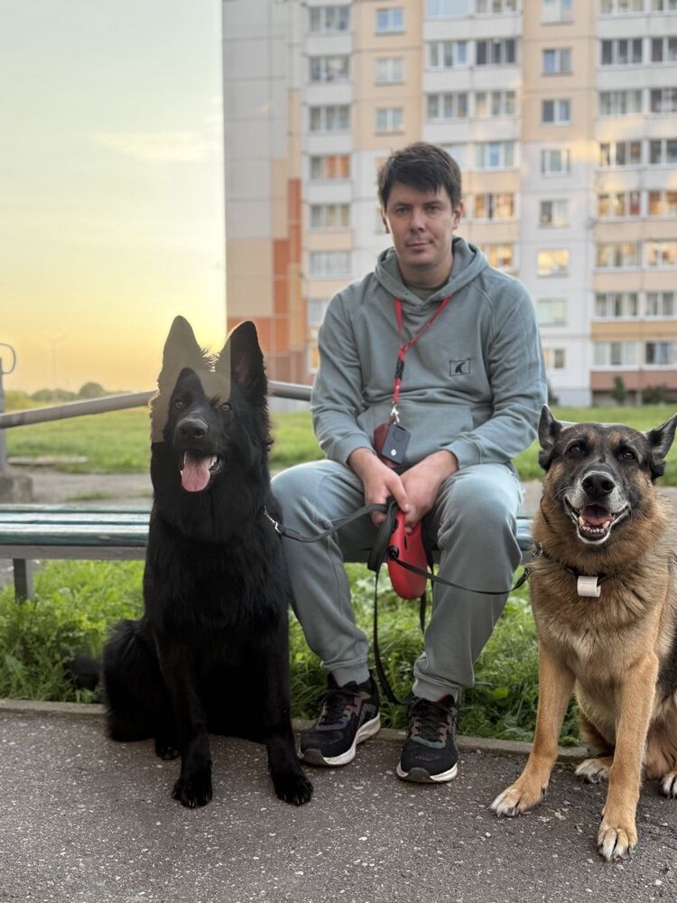 ���� 55699493 ������� �������, 30 ���, ���� ���������� � ������