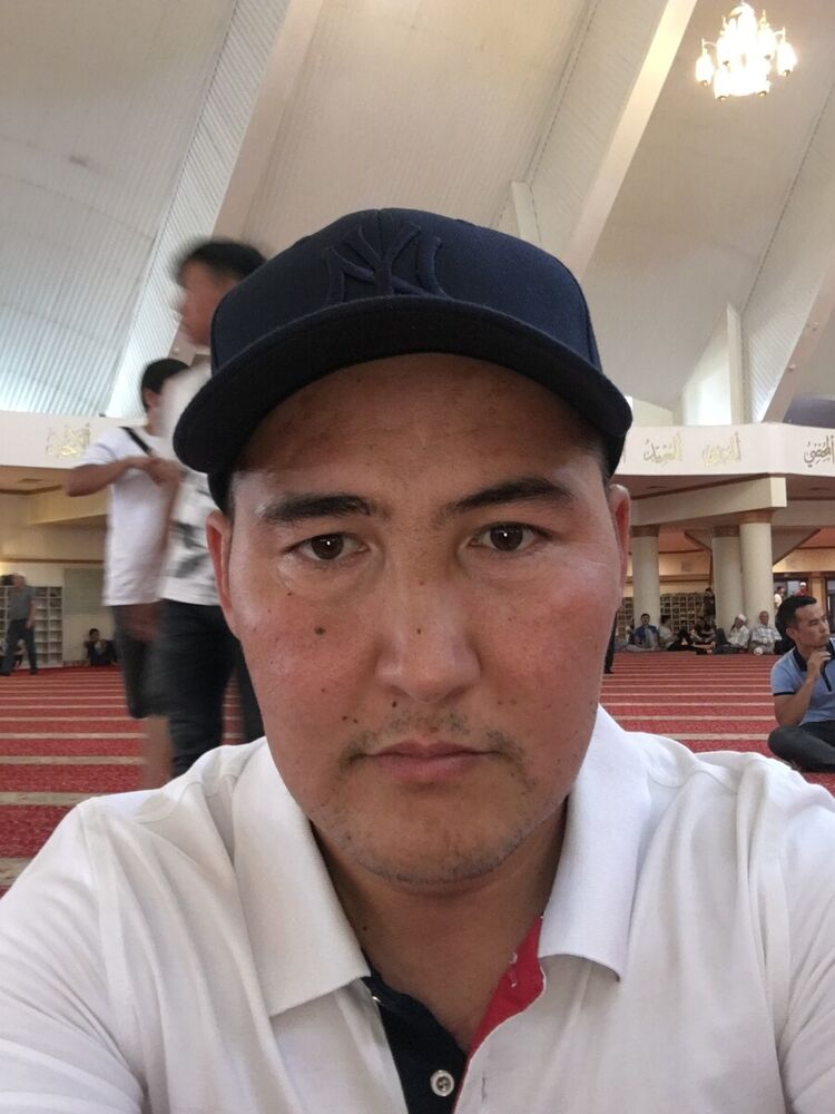 ���� 20282613 ������� Alto, 44 ����, ���� ���������� � ������