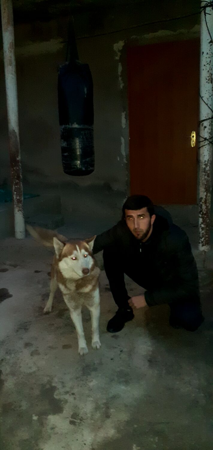  34954823  , 26 ,    