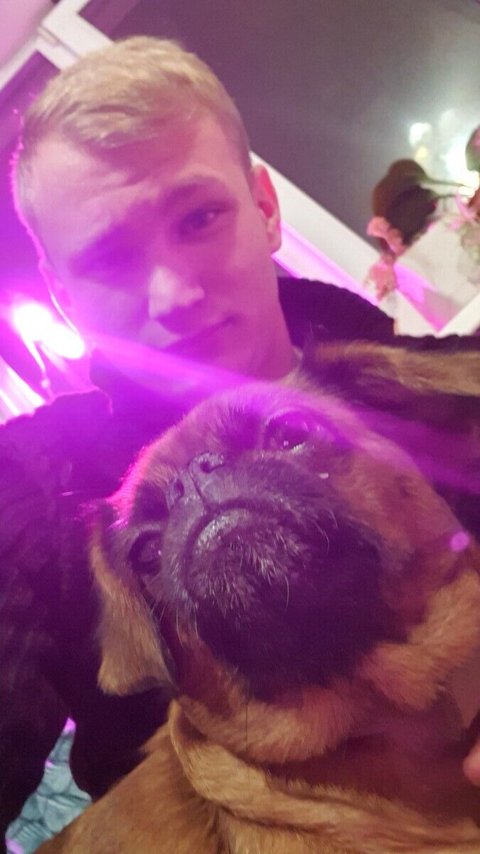 ���������� ���������, ���� ������� ����, 28 ���, ������������ ��� ������, ����� � ���������, c�������� ���������