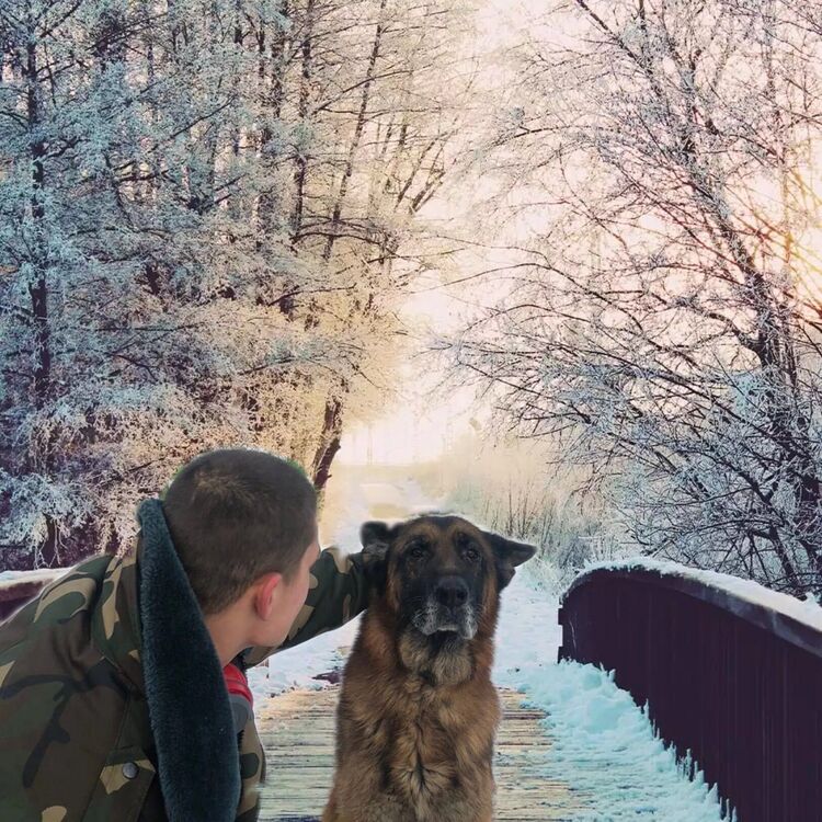 ���� 56030963 ����� ���������, 24 ����, ���� ���������� � ������