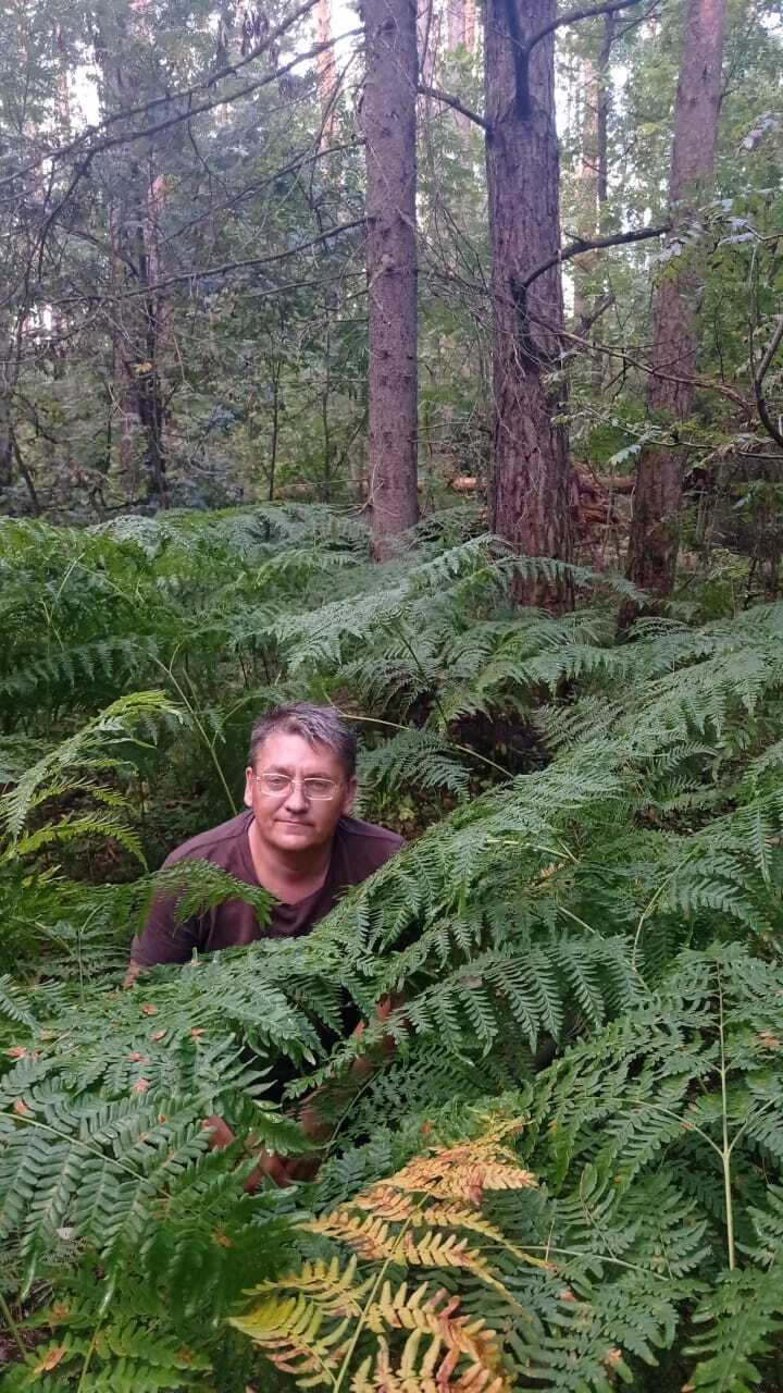 ���������� ������, ���� ������� ��������, 48 ���, ������������ ��� ������, ����� � ���������