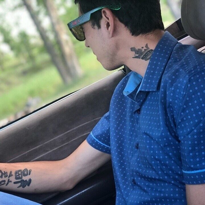  43054273  , 32 ,    -