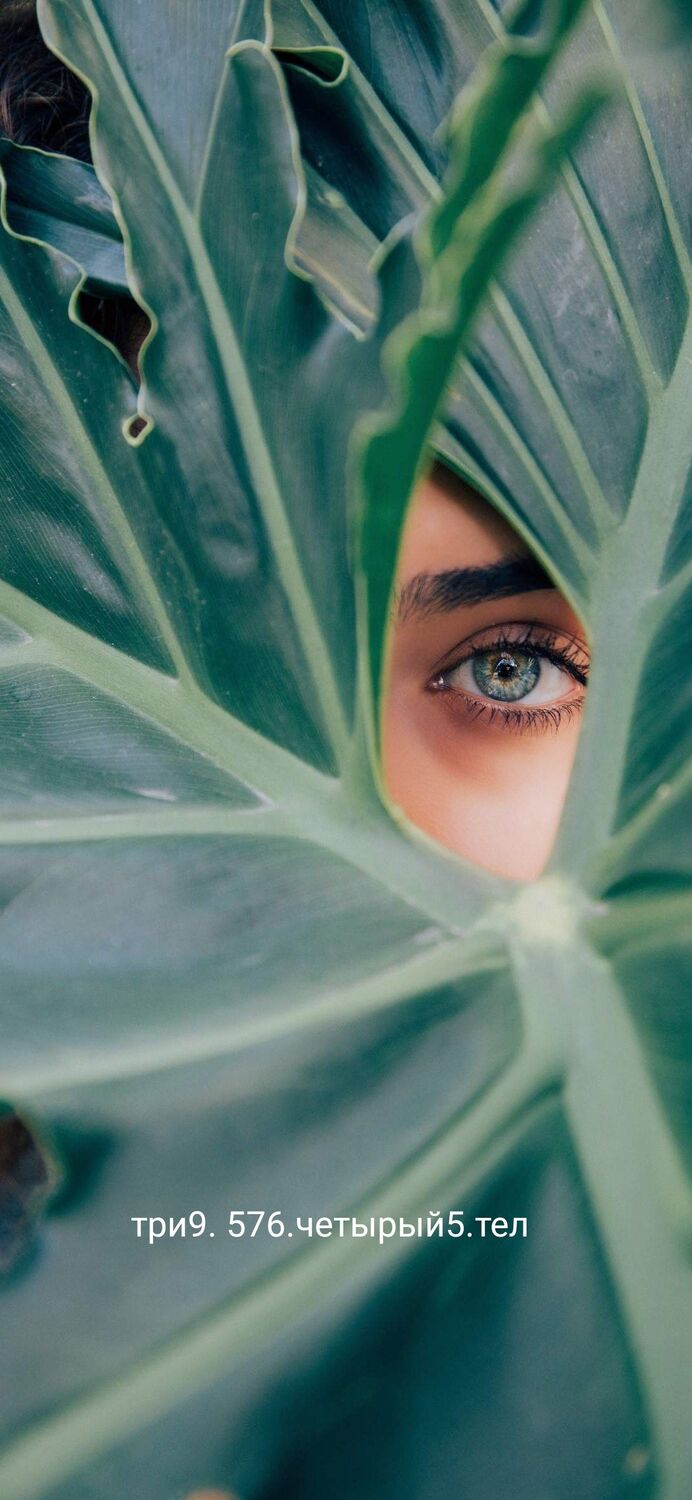 ���� 26034763 ������� �����, 26 ���, ���� ���������� � ������