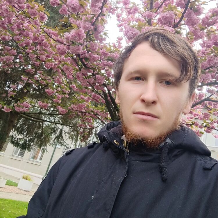 ���� 55088653 ������� �������, 26 ���, ���� ���������� � ���������-��-������