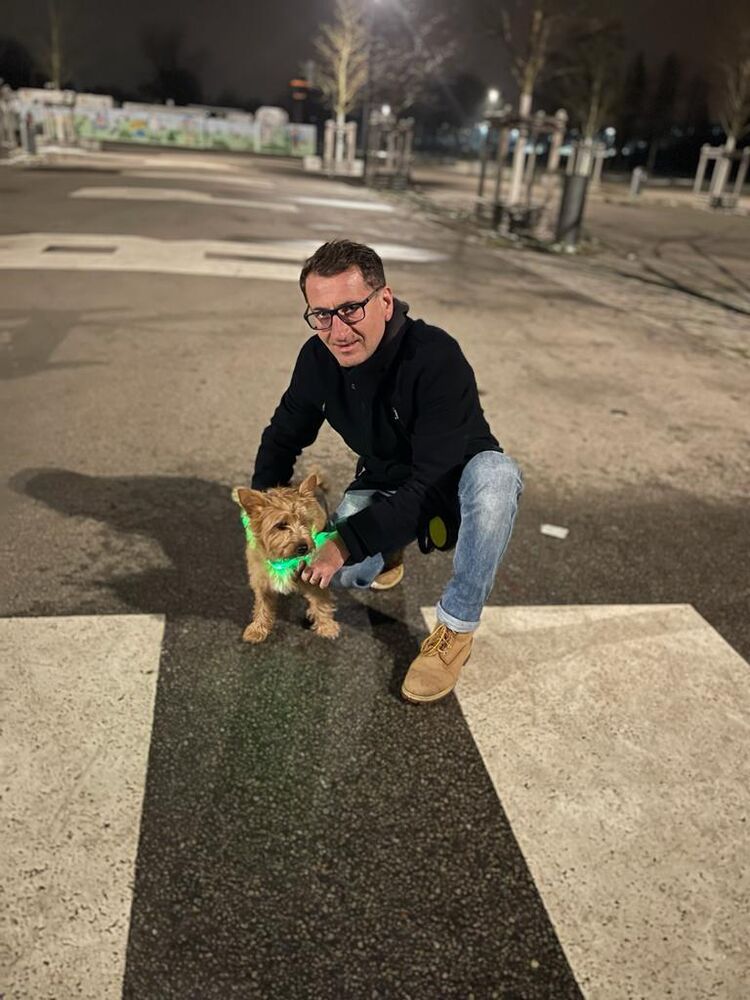 ���������� ������, ���� ������� Nicolae, 48 ���, ������������ ��� ������, ����� � ���������, c�������� ���������