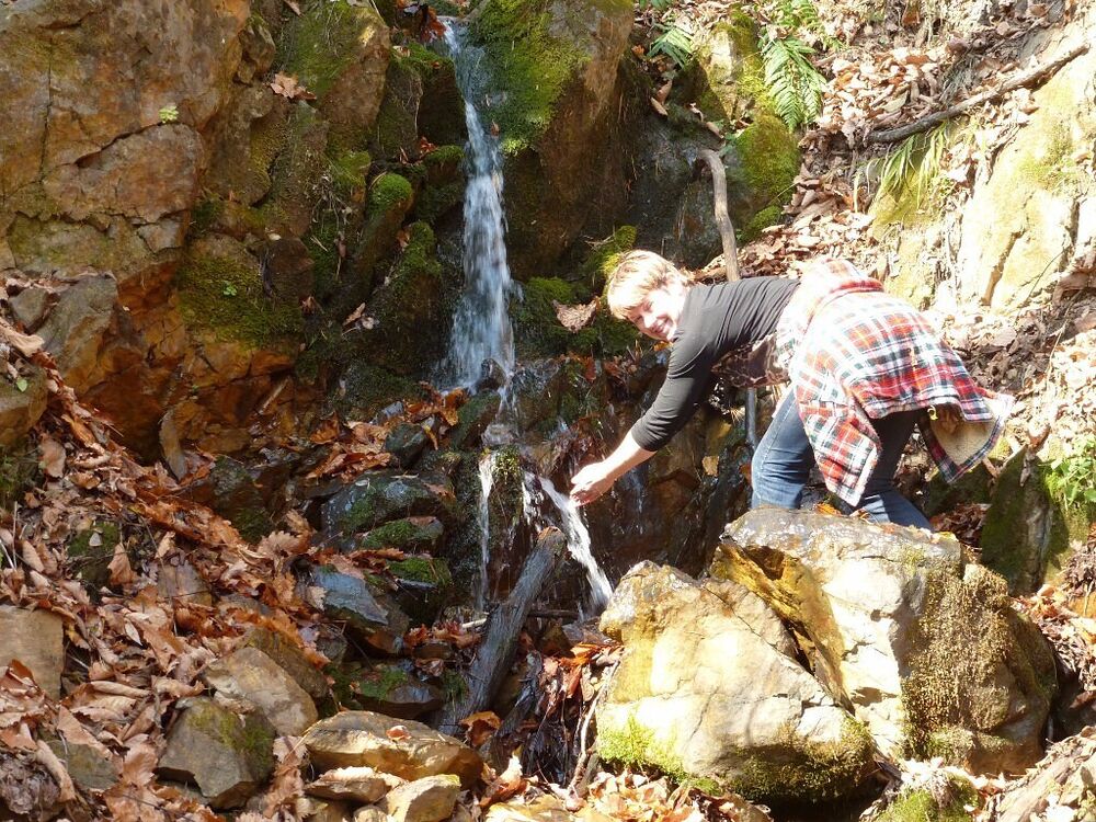 ���������� �����������, ���� ������� �������, 47 ���, ������������ ��� ������, ����� � ���������, c�������� ���������