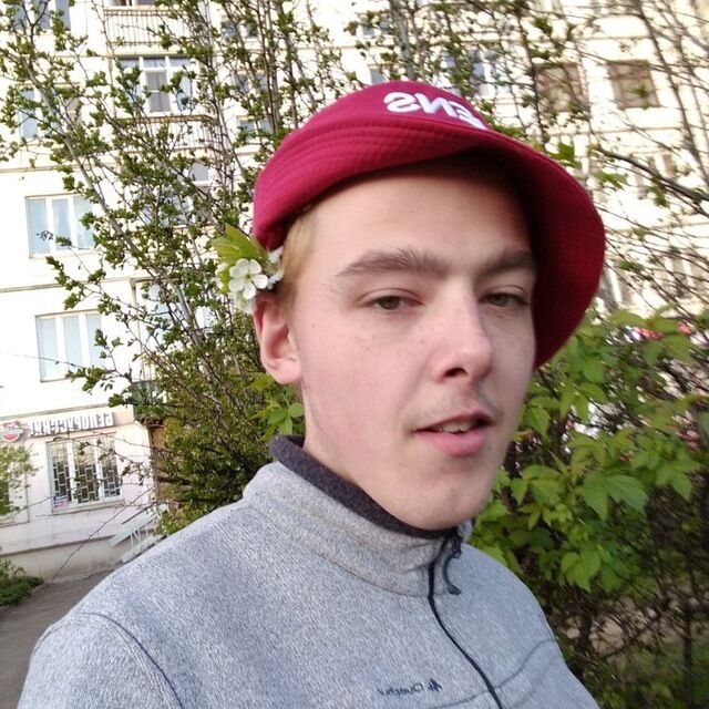  36986593  , 23 ,    