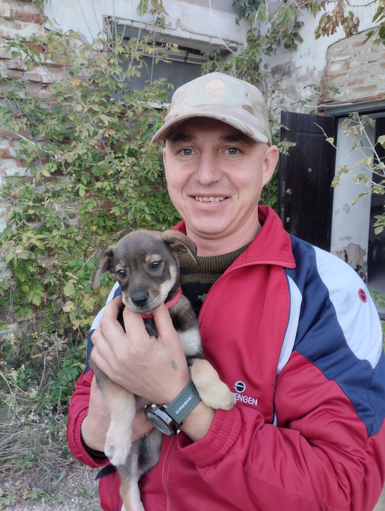 ���� 54247633 ������� ϸ��, 40 ���, ���� ���������� � ���������