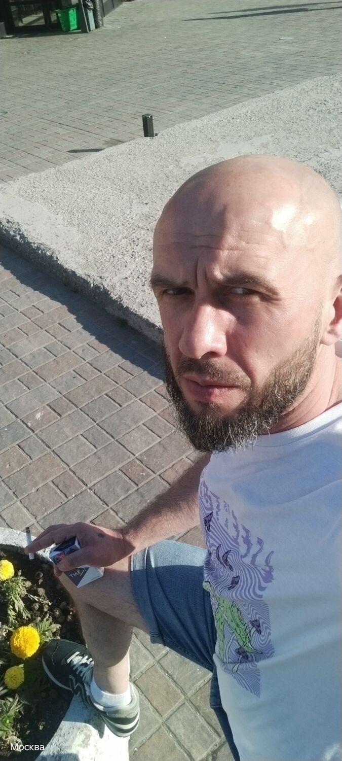  51883623  , 38 ,    