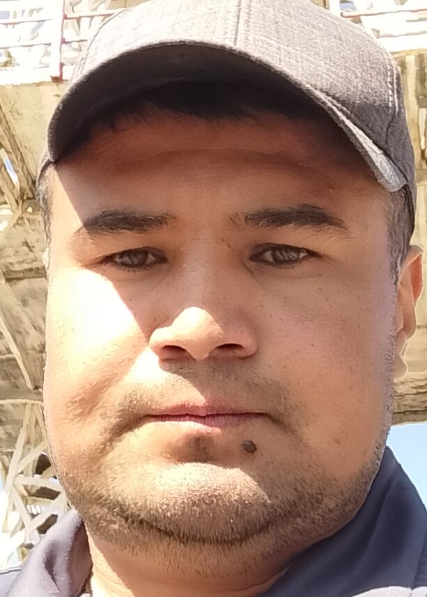  49489453  , 23 ,    