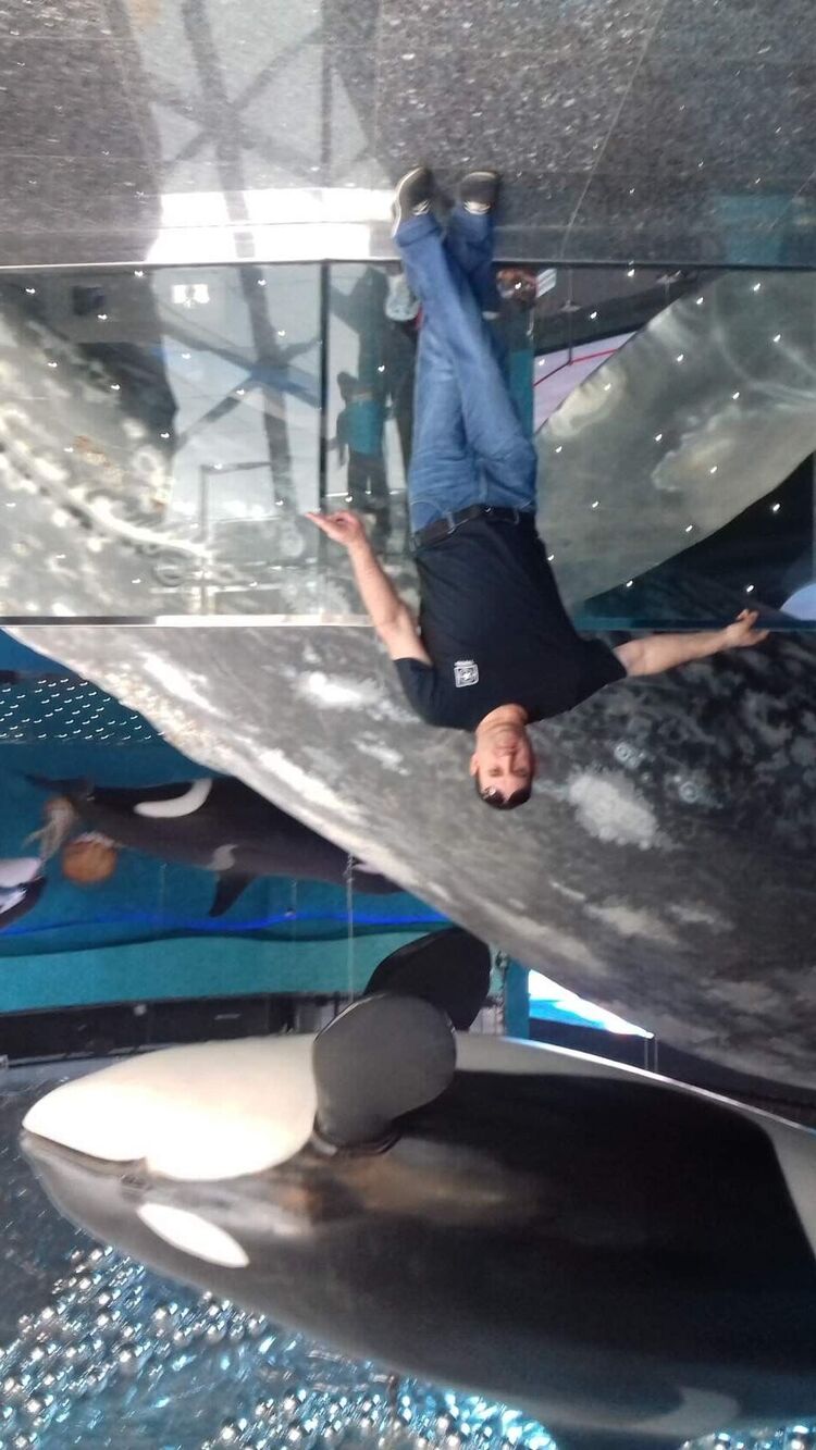 ���� 26594583 ������� �������, 41 ���, ���� ���������� � ��������������-����������