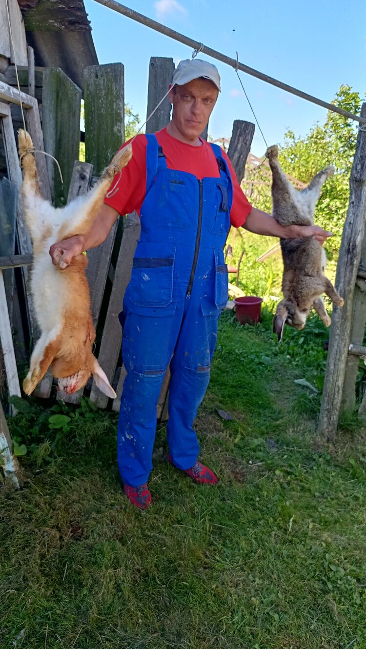 ���������� ������, ���� ������� �������, 36 ���, ������������ ��� ������, ����� � ���������, c�������� ���������, ���������