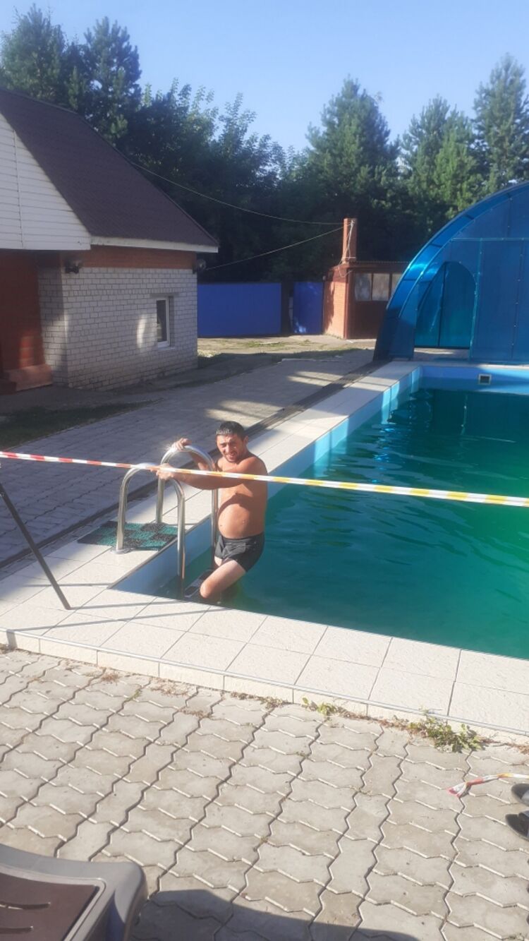  29137813  , 34 ,    