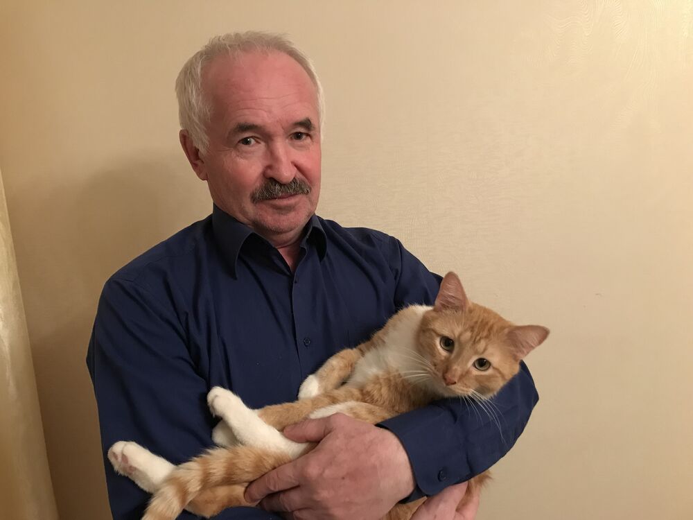  ,   , 71 ,   ,   