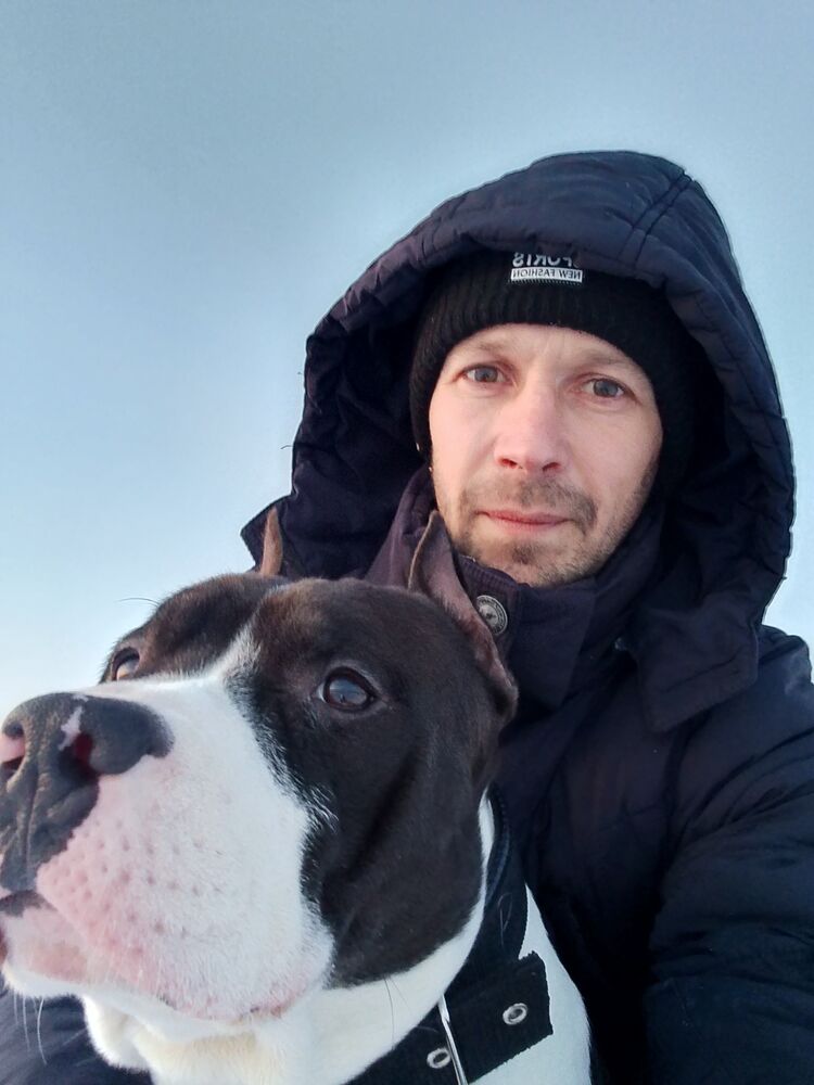 ���� 55334883 ������� �����, 38 ���, ���� ���������� � ���������