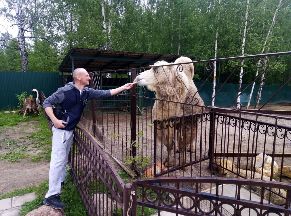 ���� 18590313 ������� ������, 48 ���, ���� ���������� � ����