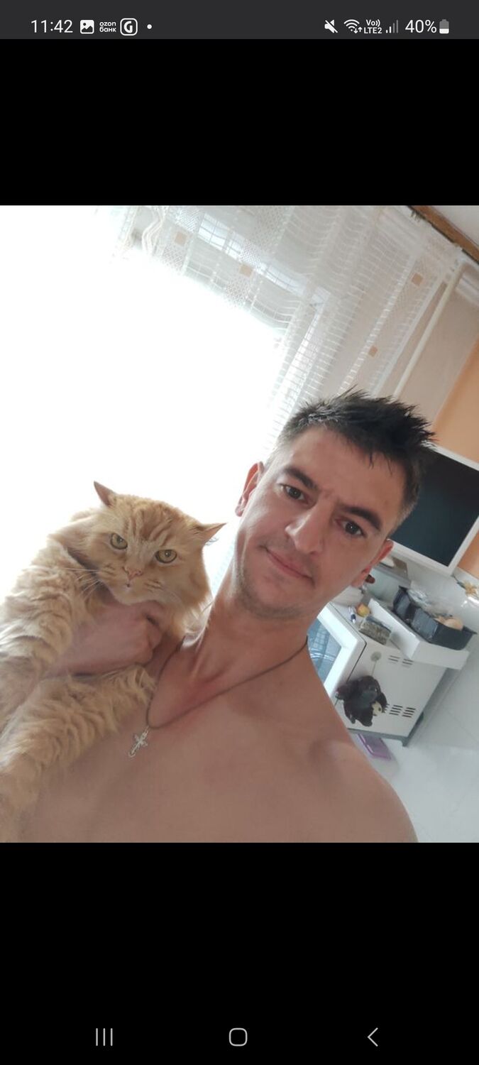  50635513  Anton, 38 ,    