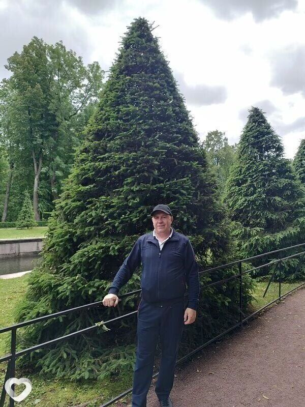 ���� 55307353 ������� ������, 53 ����, ���� ���������� � ��������