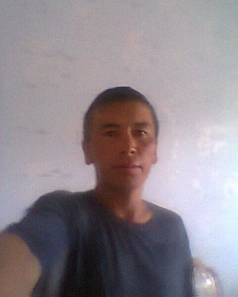  4669103  , 39 ,    