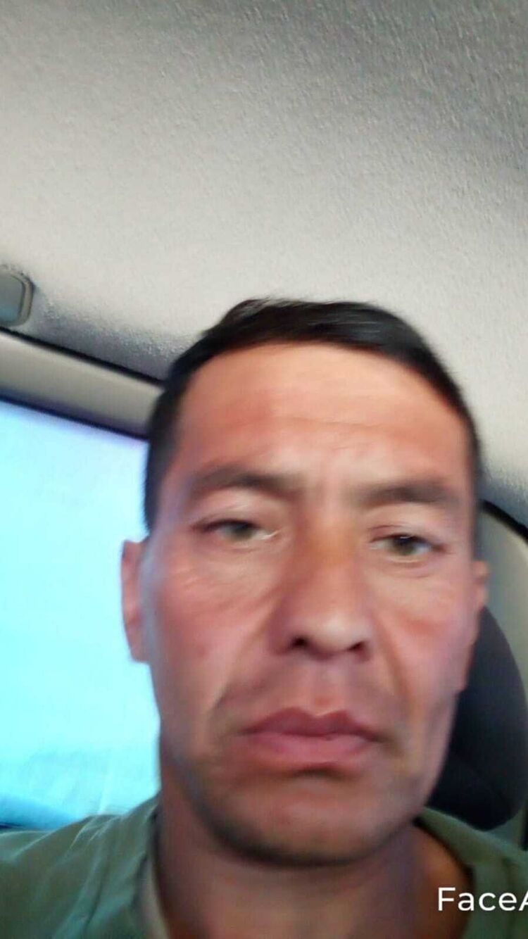 ���� 46003353 ������� ��������, 46 ���, ���� ���������� � ������