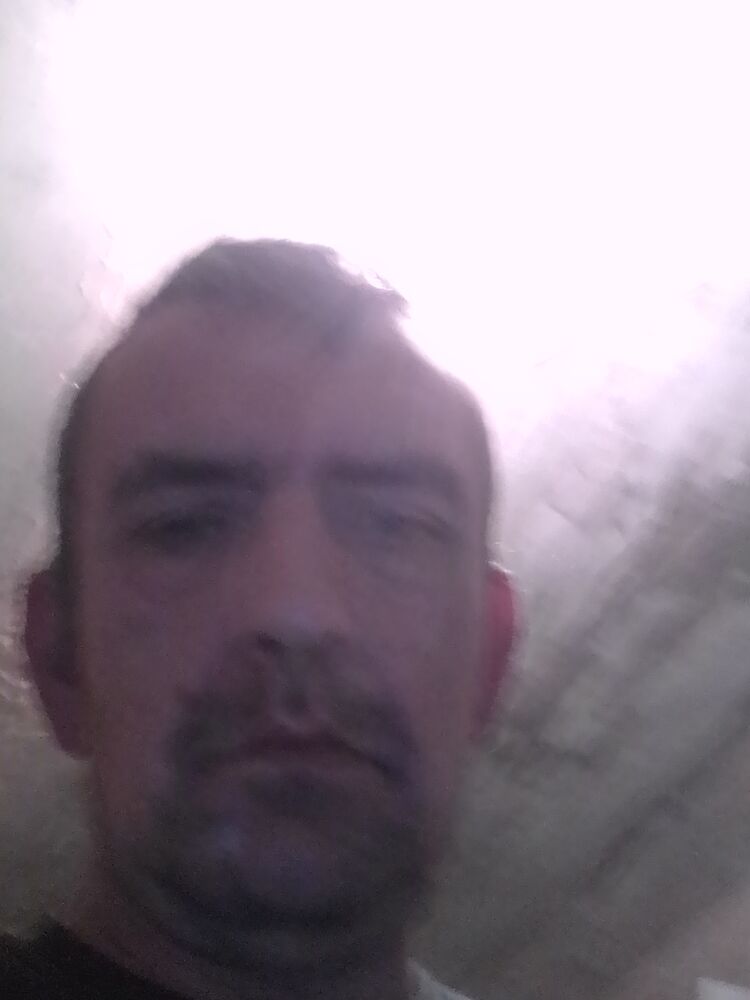  29278173  , 45 ,    