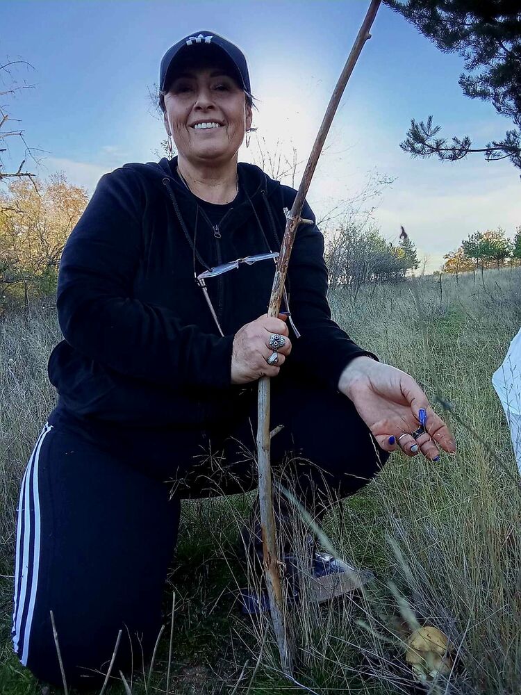 ���������� �����, ���� ������� ��������, 54 ����, ������������ ��� c�������� ���������