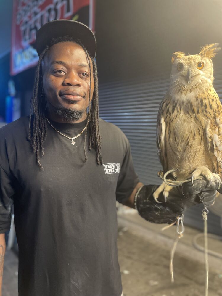 ���� 55379403 ����� Summers, 25 ���, ���� ���������� � �����