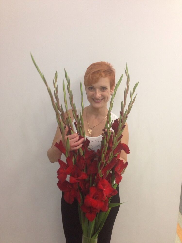  ,   Sokol, 50 ,   