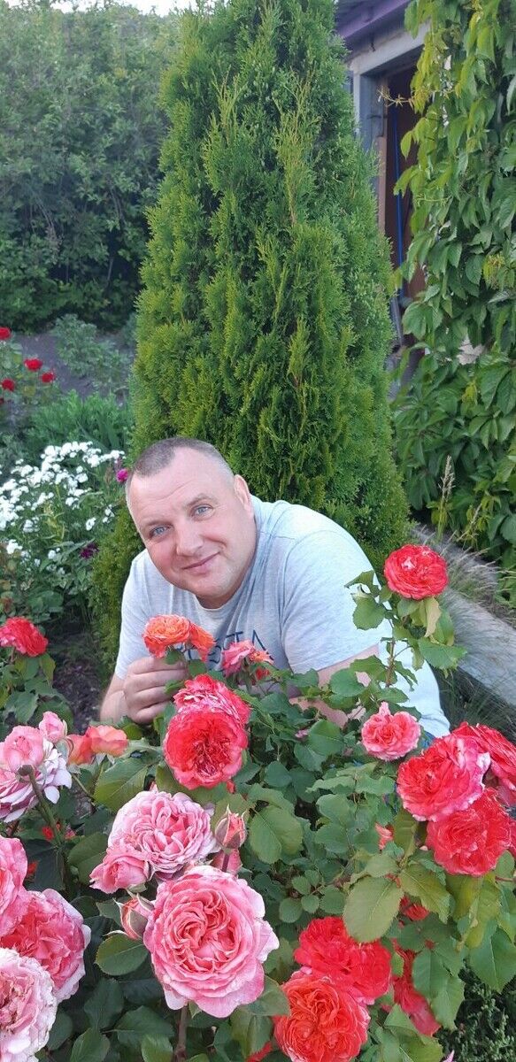 ���� 20853373 ������� ������, 40 ���, ���� ���������� � ������