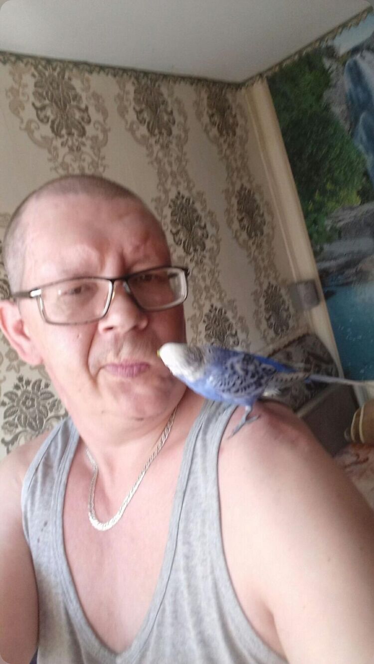  -,   , 41 ,   ,   