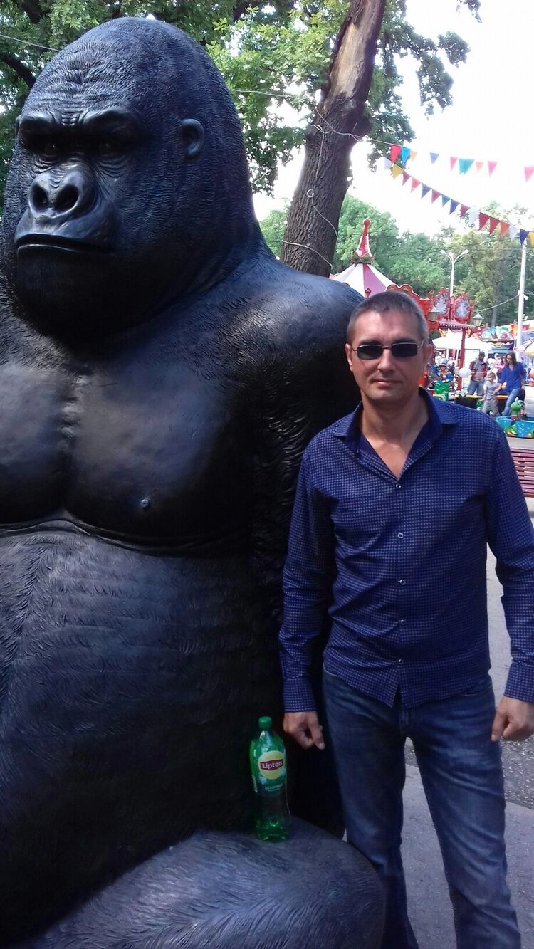 ���� 38469603 ������� ������, 45 ���, ���� ���������� � ������