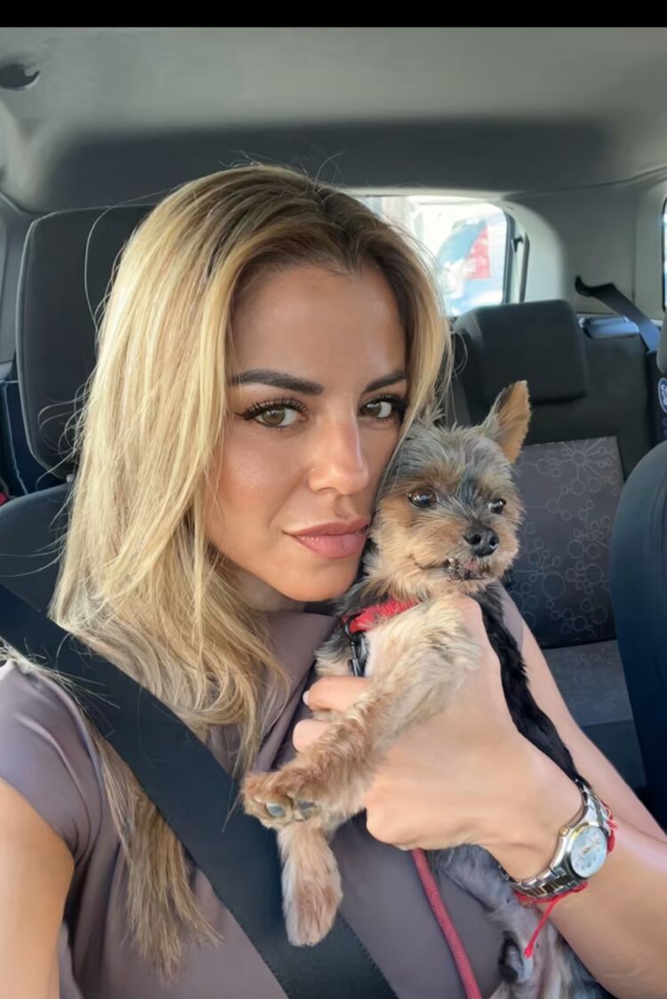 ���������� ����, ���� ������� �����, 45 ���, ������������ ��� ���������