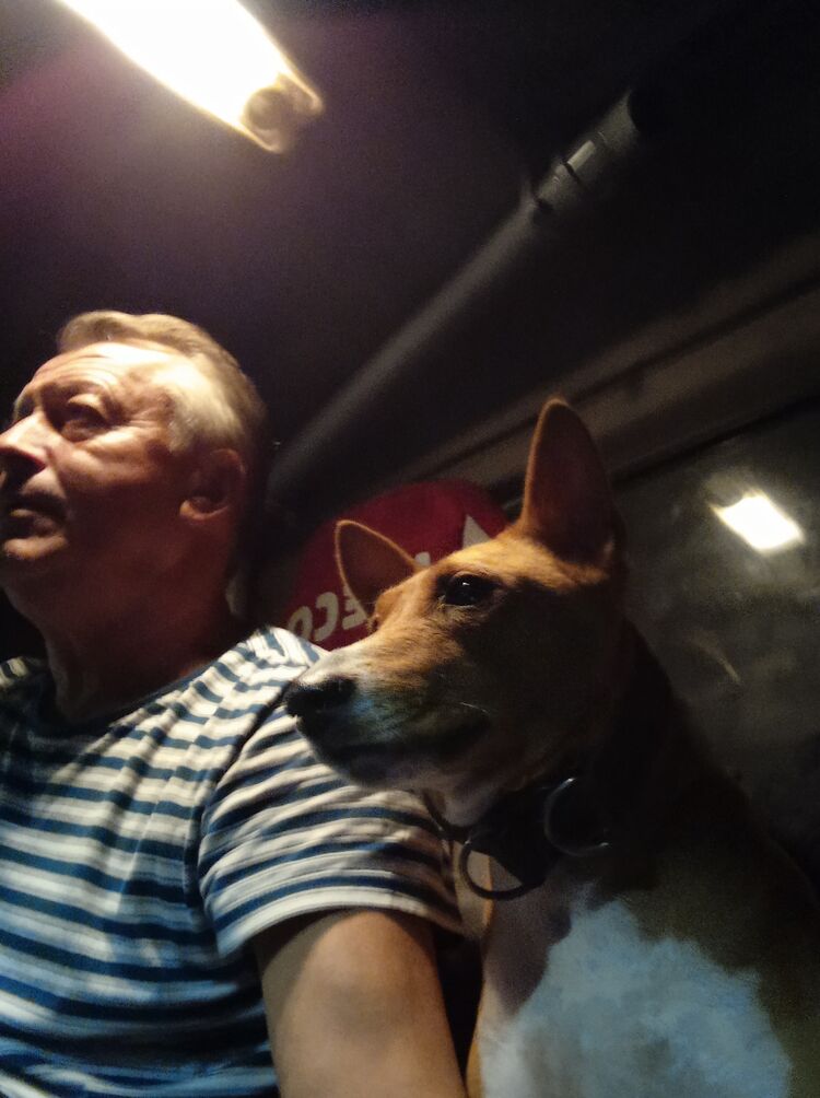  ,   , 60 ,   ,   