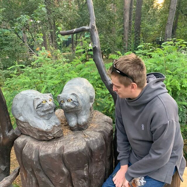 ���� 43537633 ������� ������, 35 ���, ���� ���������� � ������������