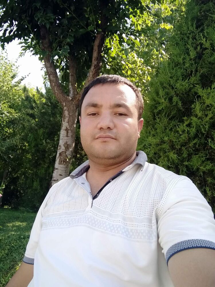  53655283  , 38 ,    -
