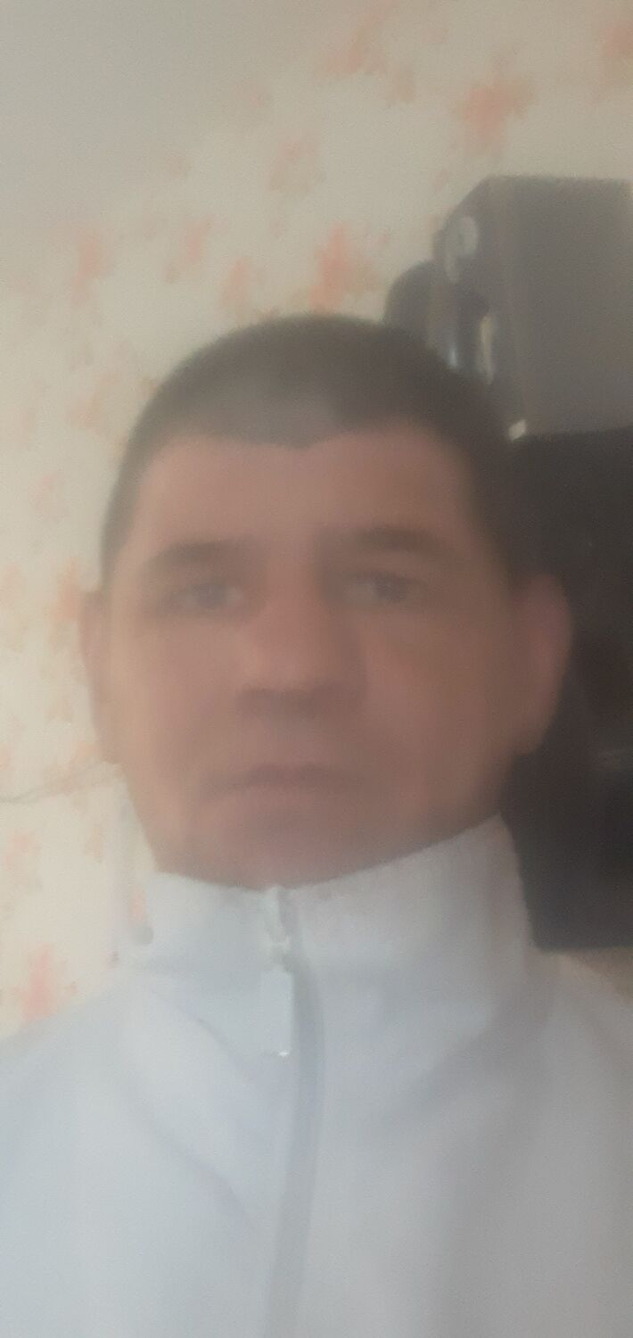  33463633  , 44 ,    