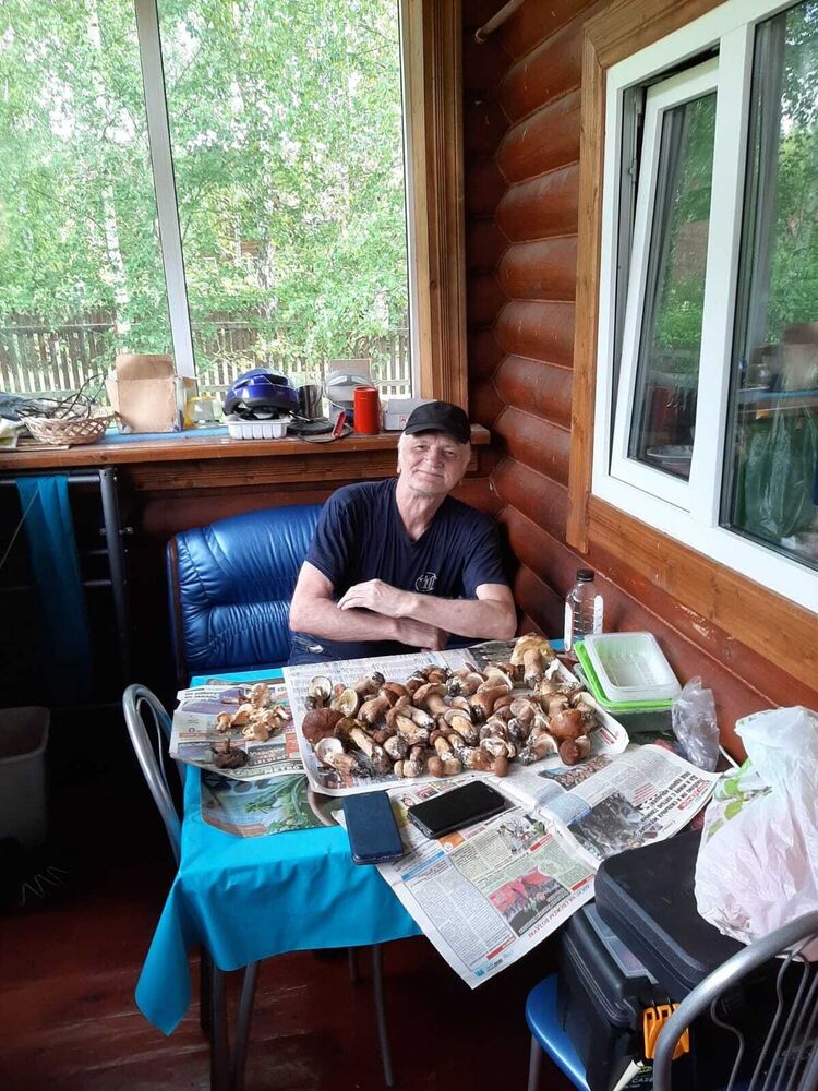 ���� 39437333 ������� Qq, 66 ���, ���� ���������� � ������