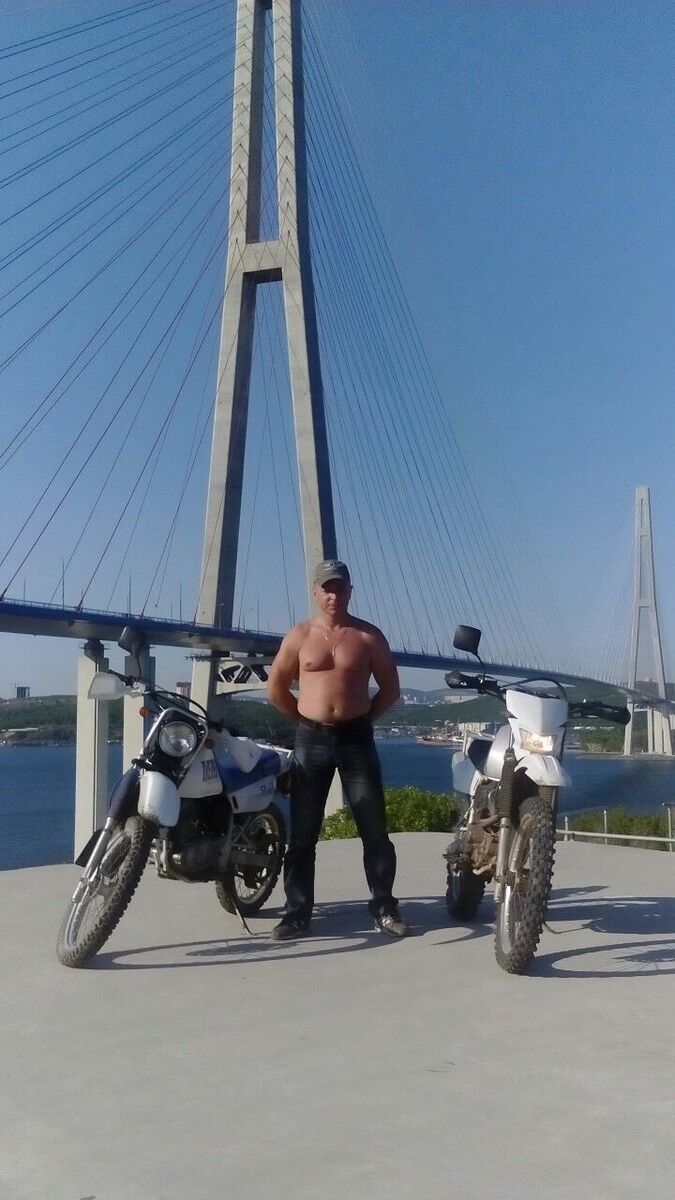  7287513  , 51 ,    