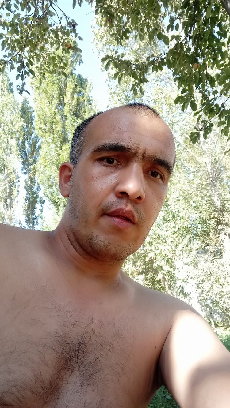 ���� 37343843 ������� �����, 40 ���, ���� ���������� � ��������