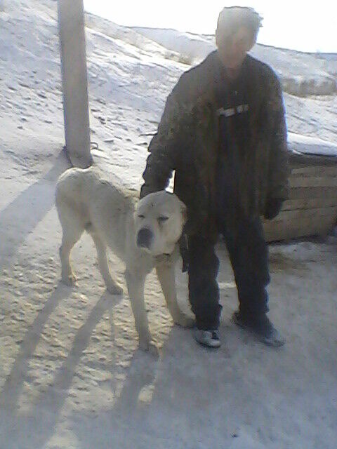 ���������� ������, ���� ������� ����, 58 ���, ������������ ��� ����� � ���������, c�������� ���������