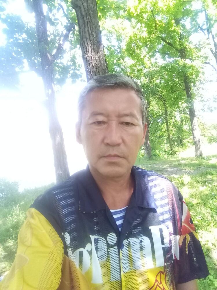  50045453  , 56 ,    