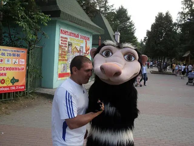 ���� 26223633 ������� �������, 49 ���, ���� ���������� � ����������