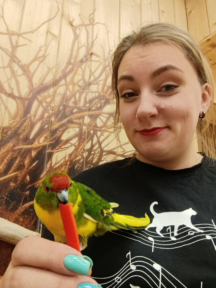 ���������� �����-���������, ���� ������� ������, 30 ���, ������������ ��� ������, ����� � ���������, c�������� ���������, ���������