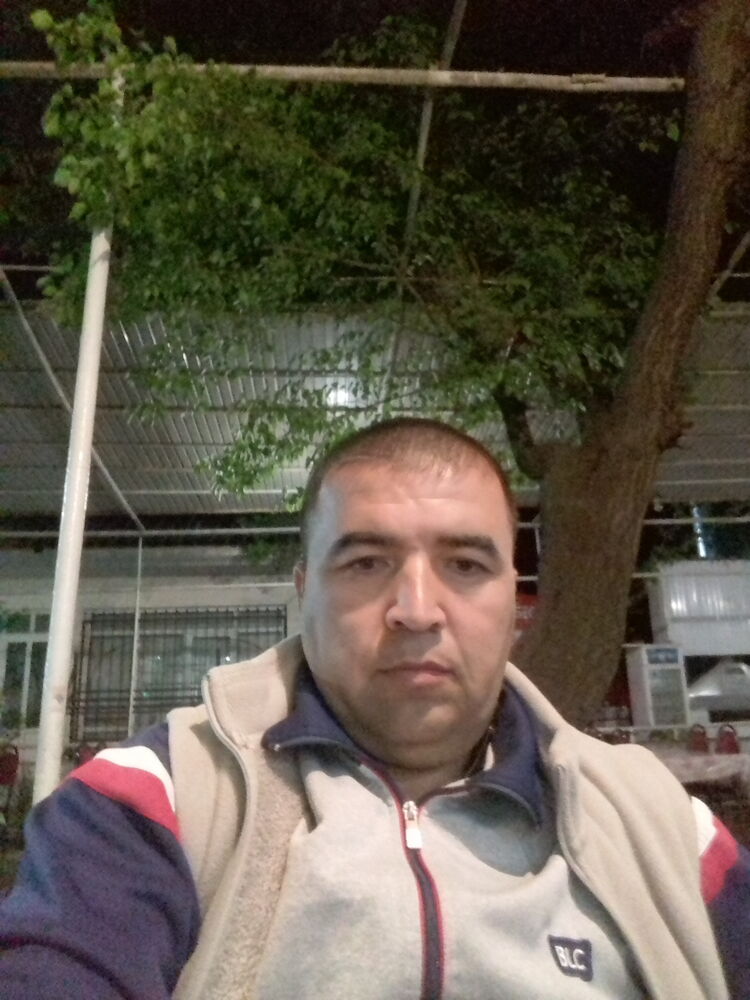  26168543  , 40 ,    