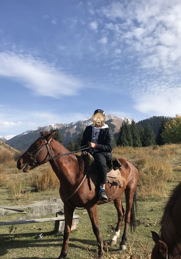 ���������� �����, ���� ������� ����, 30 ���, ������������ ��� ������, ����� � ���������