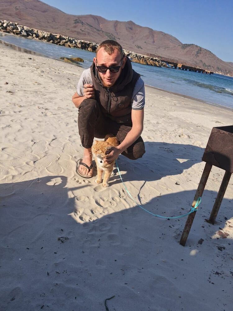 ���� 30853423 ������� ����������, 34 ����, ���� ���������� � �������