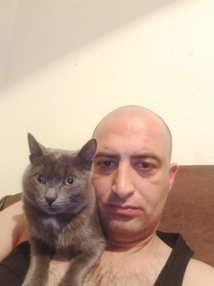  53608223  Nicat, 35 ,    